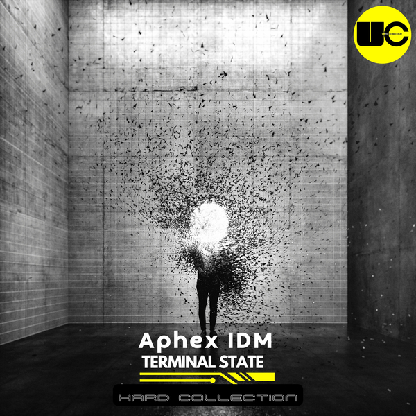 Terminal State (Hard Collection)